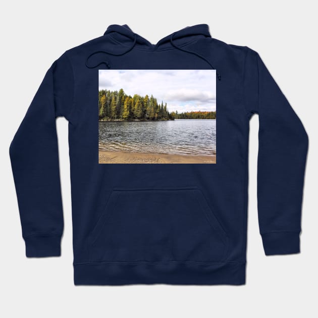 Lake View Algonquin Provincial Park Hoodie by MaryLinH